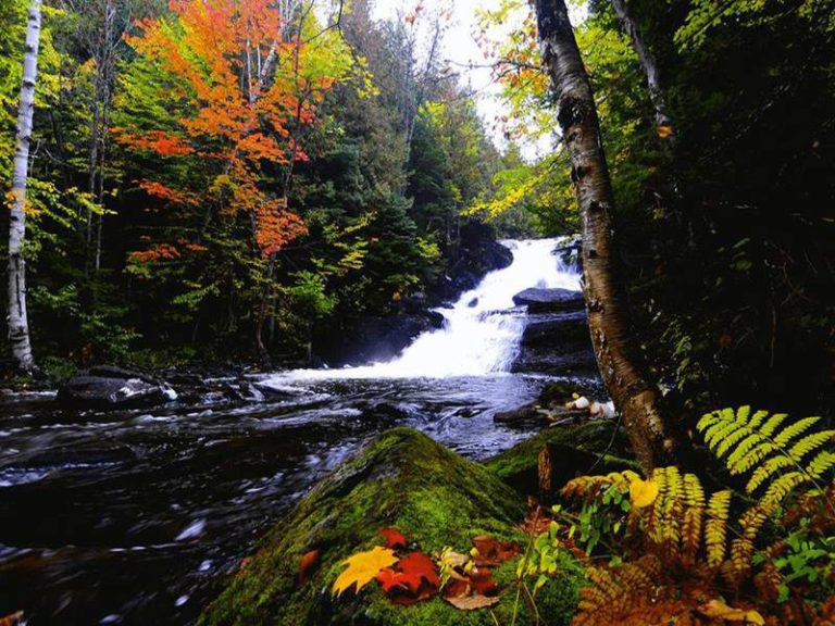 Parc national du LacTémiscouata La Beauté du Québec