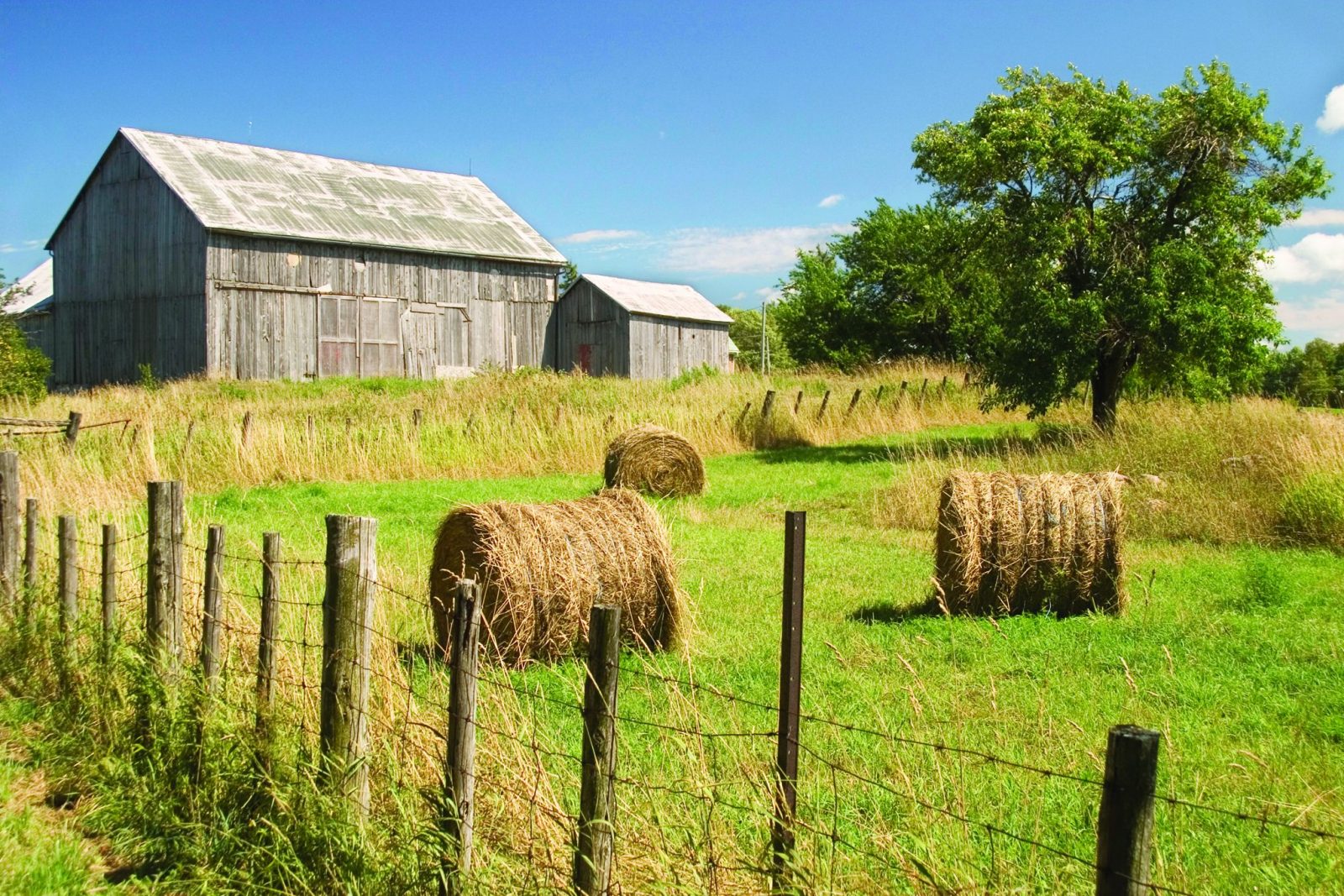 Faire De La Photo Au Qu bec LA FERME OU UN LIEU AGROTOURISTIQUE La 